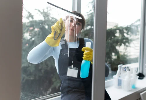 Nettoyage de vitres intérieures et extérieures à Vaulry
